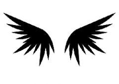 Steel Wings Shoulder insignia.jpg