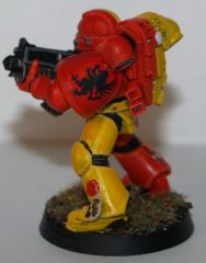 HG 2.jpg