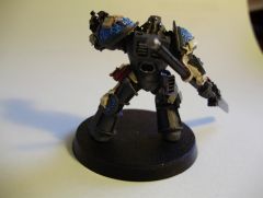 Grey Knight Back.JPG