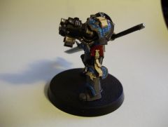 Grey Knight Left Side.JPG