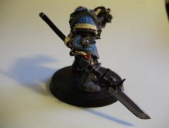 Grey Knight Right Side.JPG