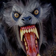 werewolf-010.jpg