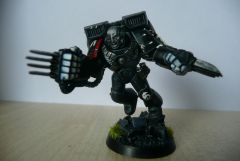 Raven Guard Assault Squad Sergeant