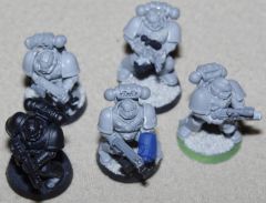 Sternguard Veterams