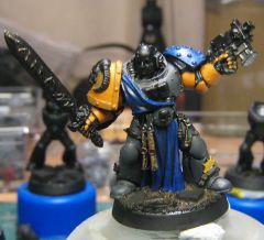 Vengeance Hawk WIP1.JPG