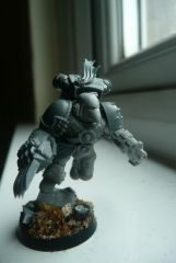 Veteran Vanguard Sergeant