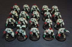 Deathwing Squads (front)