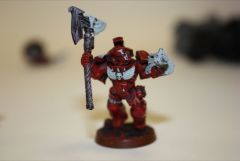 Blood angels librarian