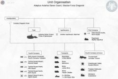 SFD Organisation Chart.jpg