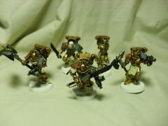 Sanguinary Guard Group Shot