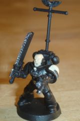 DSC05713.JPG