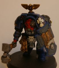 Assault Sgt.JPG
