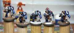 Novamarine Terminators