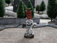 White Templar Dhenab Defence (2).JPG