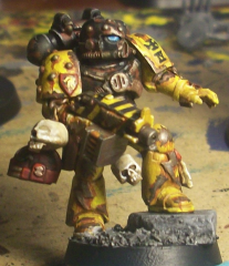 sternguard1fin.png