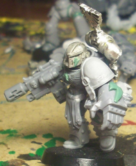sternsgt2.png