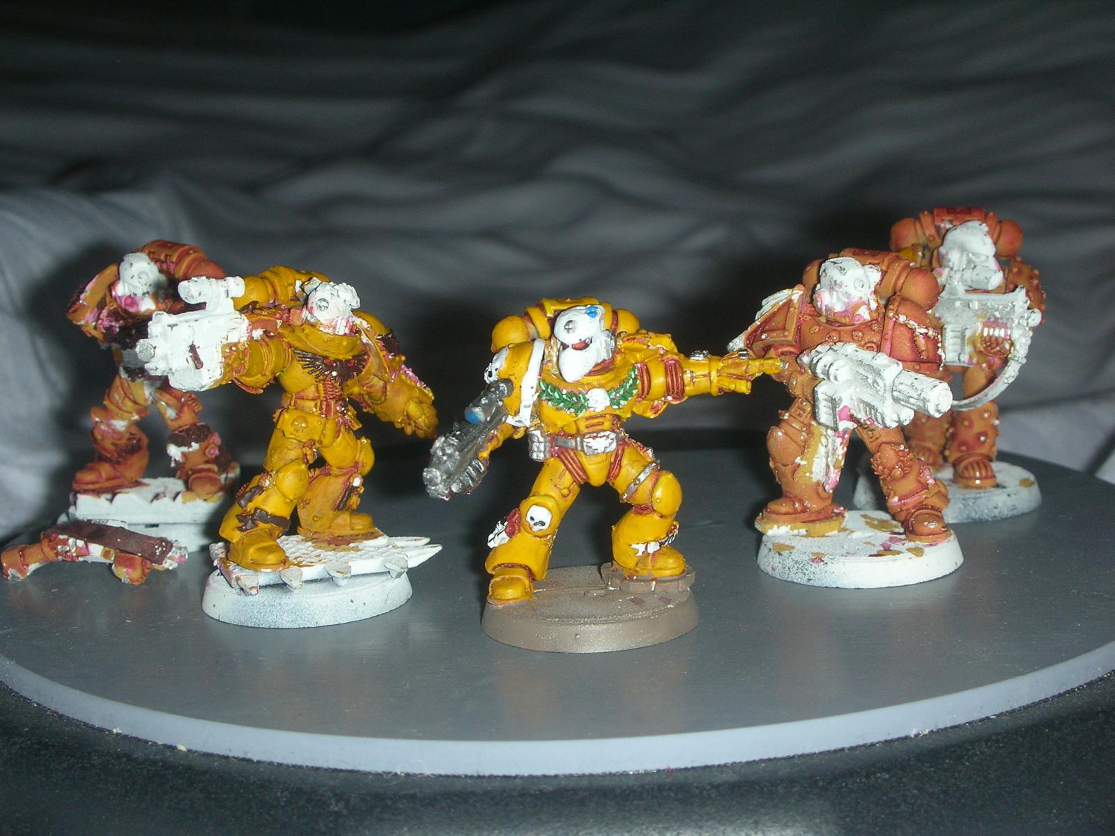 Imperial Fists WIP