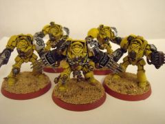 IF 1st Company Terminators (5)