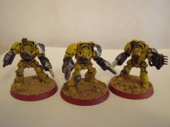 IF 1st Company Terminators (3)