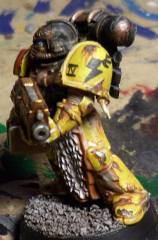 sternguard32.png