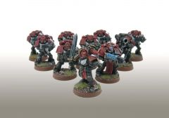 Knights of Blood Tactical Squad