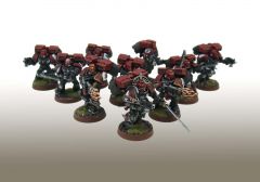 Knights of Blood Assault Squad