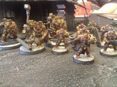 Imperial Fists, Terminator and Scout Assault Squads