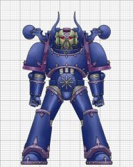 csm1.jpg