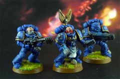 2nd company tactical squad sgt & vets