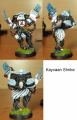 Kayvaan Shrike