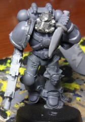 lungewip.png