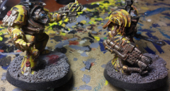 Termies1n22.png