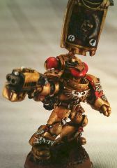 TacNew Sgt3.jpg