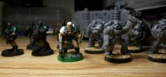 000_0005 (1024x470).jpg