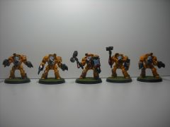 Assault Terminators