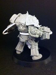 deathguard_terminator_2_wip_03.jpg