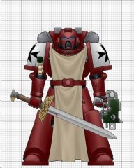 Knights Encarmine Vet gridded.jpg