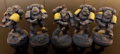 Grey Hunter squad 1 WIP 1