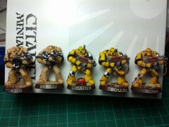 Evolution of my Lamenters