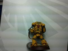 Nerva back