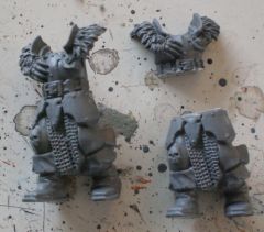 torso.jpg