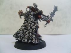 SkullTaker FinishedBack