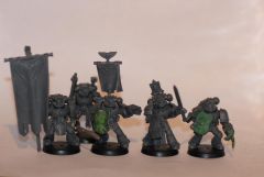 Blue-taced Command Squad