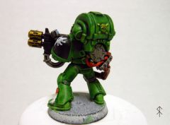 salamander-003.jpg