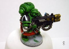 salamander-001.jpg