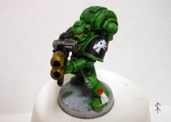 salamander-002.jpg