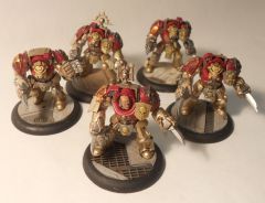 Minotaurs Assault Squad