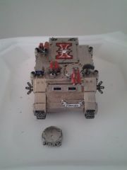 rhino front.jpg