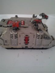 rhino stbd.jpg