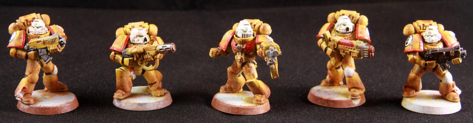 Imperial fist vets